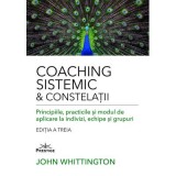 Coaching Sistemic &amp;amp; Constelatii - John Whittington