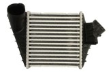 Radiator intercooler VW NEW BEETLE (9C1, 1C1) (1998 - 2012) THERMOTEC DAW015TT