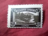 Timbru Vigneta Germania Teritorii pierdute dupa ww1 - Hultschiner Landchen - Moravia -1920