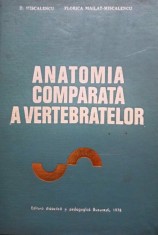 D. Miscalencu - Anatomia comparata a vertebratelor (Editia: 1978) foto