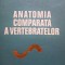 D. Miscalencu - Anatomia comparata a vertebratelor (Editia: 1978)