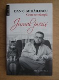 Dan C. Mihailescu - Ce mi se-ntampla. Jurnal piezis