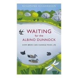 Waiting for the Albino Dunnock