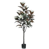 Planta decorativa Mangola I in ghiveci plastic PP alb H155 cm