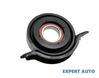 Rulment intermediar cardan Audi Q7 (2005-2009) [4L] #1 foto