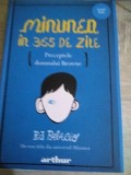 Minunea in 365 de zile de R.J.Palagio