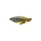 CICADA JAXON TARLON 6.5GR 3D