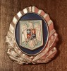 QW14 - Emblema militara - anii 1990 - servicii - piesa de colectie