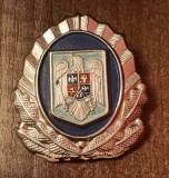 QW14 - Emblema militara - anii 1990 - servicii - piesa de colectie