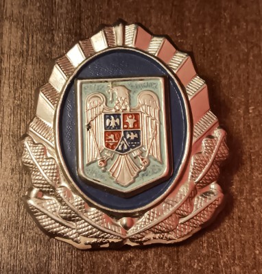QW14 - Emblema militara - anii 1990 - servicii - piesa de colectie foto