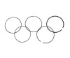 Set segmenti atv Bashan 250cc, 69.00mm, Rival Store