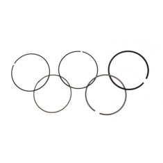 Set segmenti atv Bashan 250cc, 69.00mm, Rival Store