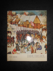 ION BIBERI - PIETER BRUEGEL CEL BATRAN (1967, editie cartonata) foto