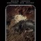 The Witcher Library Edition Volume 2