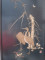 Foto  - 1