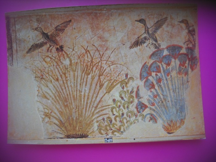 HOPCT 6952 FLORI DE LOTUS -PAPIRUS 1364 I C -EGIPT -AFRICA-NECIRCULATA