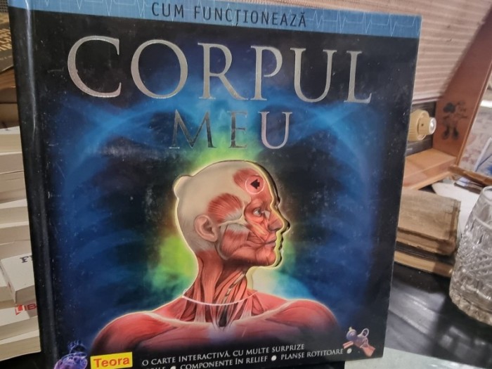 Cum functioneaza corpul meu