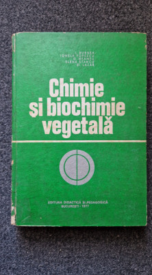 CHIMIE SI BIOCHIMIE VEGETALA - Burnea foto