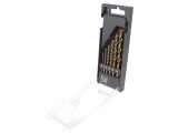 Set Burghie Metal HSS 6 Bucăți
