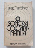 Iulius Țundrea - O sonoră coloană infinită