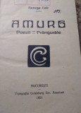 A. Amur Poezii 1921