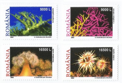 Romania, LP 1577/2002, Corali si anemome de mare, MNH foto