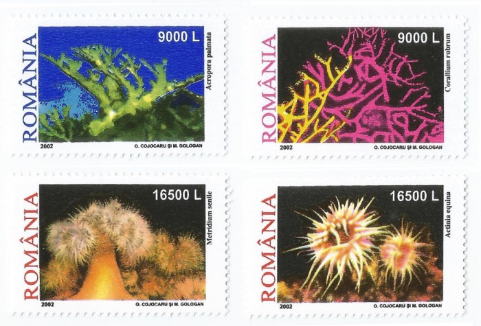 Romania, LP 1577/2002, Corali si anemome de mare, MNH