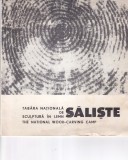 Tabara de sculptura in lemn. Saliste