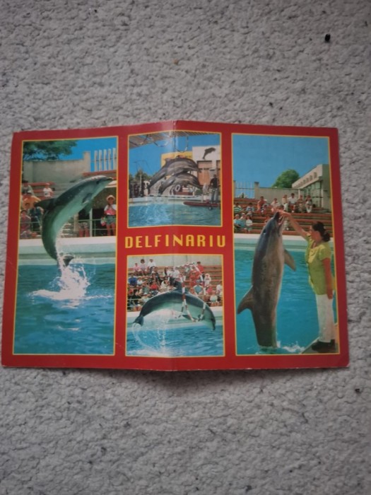 Carte postala delfinariu