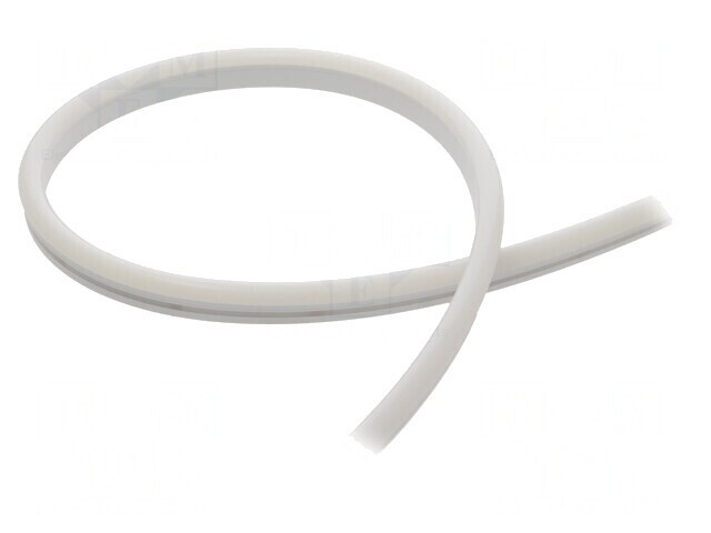 Bandă LED NEON Alb Rece 24V 8mm IP65 6W/m