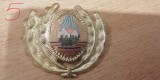 QW14 - Emblema militara / cuc - uscat - comunism - piesa de colectie