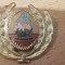 QW14 - Emblema militara / cuc - uscat - comunism - piesa de colectie