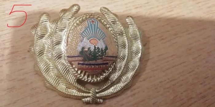QW14 - Emblema militara / cuc - uscat - comunism - piesa de colectie