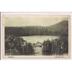 Carte postala necisculata din perioada interbelica