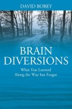 Brain Diversions: What You Learned Along the Way but Forgot