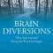 Brain Diversions: What You Learned Along the Way but Forgot