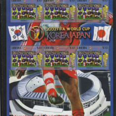 Liberia -Sport,Fotbal,C.M.,Korea-Japonia,Echipa Frantei, bloc 6 timbre dant.,MNH