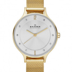 Skagen - Ceas SKW2150