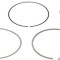 Mahle Set segmenti piston