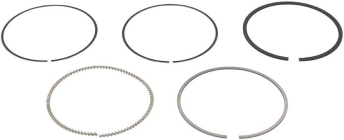Mahle Set segmenti piston