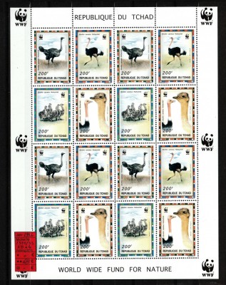 Chad / Ciad, 1996 | Struţ Rothschild - Animale protejate - WWF | M/S - MNH | aph foto