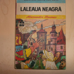 Laleaua neagra -Alexandre Dumas