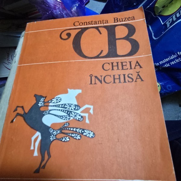 Cheia inchisa - Constanta Buzea