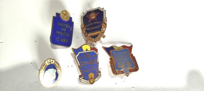 insigne militie