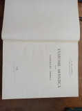 Gheorghe Ghitescu - Anatomie artistica 3 volume ,1962
