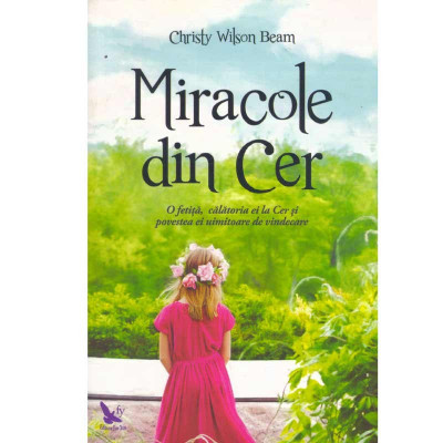 Christy Wilson Beam - Miracole din cer - 133914 foto