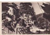 AMS - ILUSTRATA 1307, SINAIA - VEDERE, ANUL 1956, cu perforari
