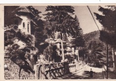 AMS - ILUSTRATA 1307, SINAIA - VEDERE, ANUL 1956, cu perforari