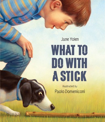 What to Do with a Stick foto