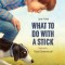 What to Do with a Stick